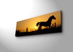 Reprodukcija Wallity 3090DACT-29, 30 cm
