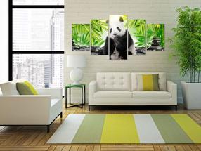 Reprodukcija Artgeist Sweet Little Panda N4043PWD, 100 cm x 50 cm