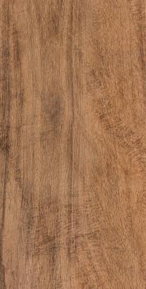 Plytelės, akmens masės Keramin 4810531109471, 60 cm x 30 cm, buko sp.
