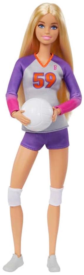 Кукла Mattel Barbie HKT72 HKT72, 29 см, многоцветный