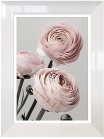 Foto paveikslas Roses, 63 cm x 83 cm