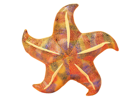 Pliušinis žaislas jūrų žvaigždė Pillow, geltona sp., 20 cm