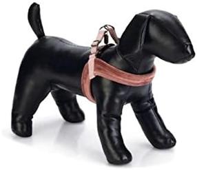 Petnešos šunims Beeztees Harness, rožinė sp., 520 mm x 10 mm, 52