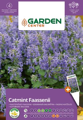 Sėklos Garden Center katžolė FASENO, 0.5 g
