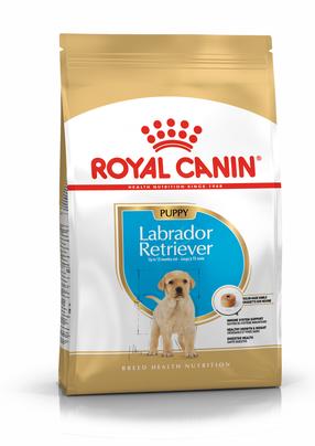 Sausas šunų maistas Royal Canin Labrador Retriever Puppy, vištiena, 12 kg