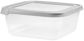 Konteiner toidu jaoks Domotti Albert, 2.5 l, 21.5 cm x 21.5 cm, läbipaistev v./hall v.