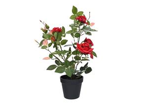 Mākslīgais augs podiņā Domoletti, sarkana krās./zaļa krās., 55 cm