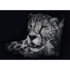 Pusle Schmidt Ashley Rader: Speed - Cheetah, In The Sign Of Grace, 1000 tk