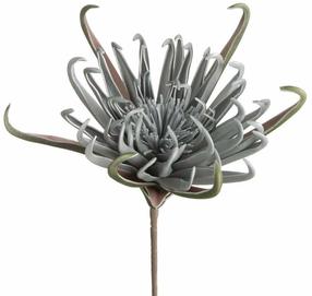 Mākslīgie ziedi Flore 827, pelēka krās., 62 cm