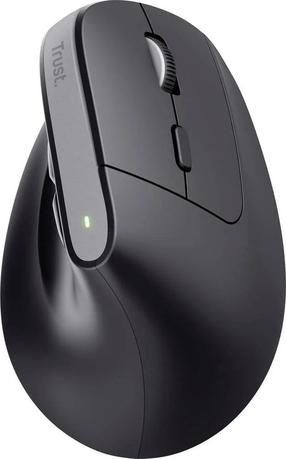 Belaidė kompiuterinė pelė Trust Bayo+ Ergonomic, bluetooth / usb, juoda sp.