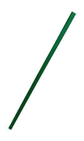 Vėliavos stiebas, 250 cm, žalia sp.