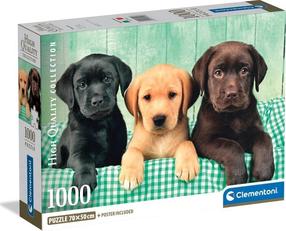 Puzle Clementoni Compact Three Labs 39946, 50 cm x 70 cm, 1000 gab., daudzkrāsaina