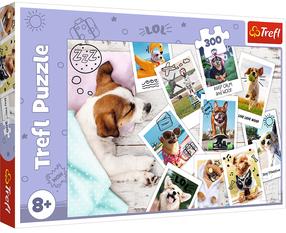 Пазл Trefl Dogs Holiday Pictures 30031, 60 см x 40 см, 300 шт., многоцветный