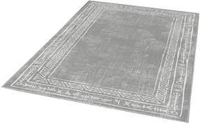 Kilimas vidaus Conceptum Hypnose W1056, pilka sp., 100 cm x 60 cm
