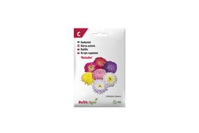 Семена Baltic Agro астры Aster Matador, 6 г