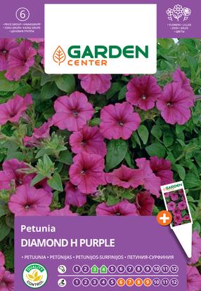 Sėklos Garden Center petunija DIAMOND H PURPLE, 6 vnt.
