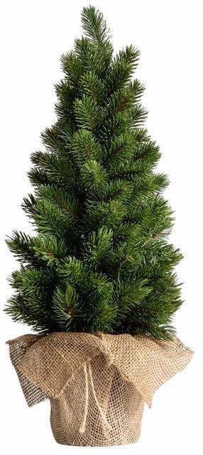 Dirbtinė Kalėdų eglutė Homla Oppla 242344, 55 cm, su stovu