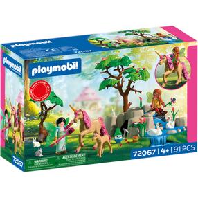 Конструктор Playmobil Fairies Day Trip 72067, 91 шт., многоцветный
