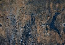 Fototapetas Artgeist Prehistoric Dance 4XLNEW011043SAM, 280 cm x 280 cm