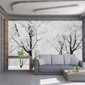 Fototapetas Artgeist Trees - winter landscape, 154 cm x 200 cm