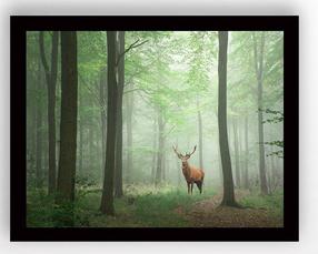 Paveikslas Wallity SC0368, 56 cm x 41 cm