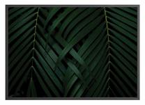 Paveikslas DecoKing Pinnation, 70 cm x 100 cm