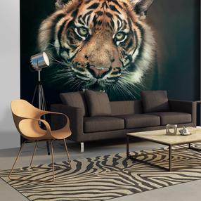 Fototapetas Artgeist Bengal Tiger LFTNT0741, 154 cm x 200 cm