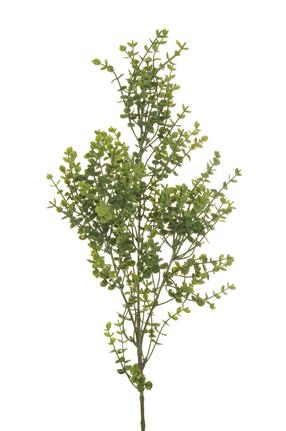 Mākslīgais zars, eikalipts, daudzkrāsaina/(krāsa/dizains tiek izvēlēts nejauši), 78 cm