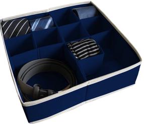 Daiktadėžė Ordinett Box With Section, mėlyna sp., 30.5 x 30.5 x 10 cm