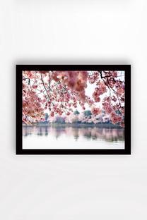 Paveikslas Wallity SC0348, 56 cm x 41 cm
