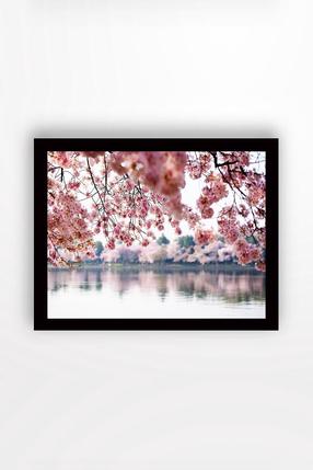 Paveikslas Wallity SC0348, 56 cm x 41 cm