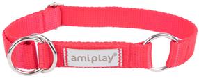 Antkaklis šunims Amiplay Samba, raudona sp., 350 - 500 mm x 25 mm, 35-50