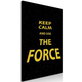 Reprodukcija Artgeist Keep Calm and Ouse the Force, m-a-0929-b-a, 20 cm x 30 cm