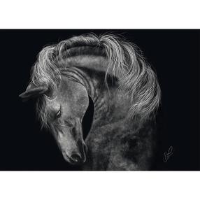 Pusle Schmidt Ashley Rader: Power - Horse, In The Sign Of Strength, 1000 tk
