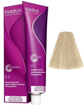 Plaukų dažai Kadus Professional Permanent Color, very light ash blond sp., 9/1, 60 ml