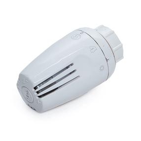 Termostatinė galvutė Giacomini R468H, M30 x 1,5