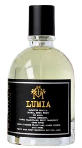 Parfimērijas ūdens Moudon Lumia, 100 ml