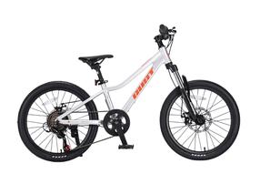 Детский велосипед, детский Gust Flow Active, серебристый цв., 20″