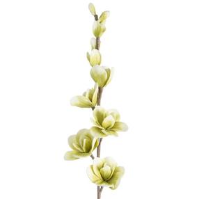 Mākslīgie ziedi, magnolija Flore 713, zaļa krās., 104 cm x 12 cm