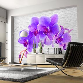Fototapetas Artgeist Violet Excitation, 245 cm x 350 cm