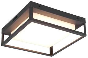 Šviestuvas lubų ir sienų Trio Witham 677860142, LED, 2300 - 4000 °K, 1 x 14 W, balta sp. / antracito sp.