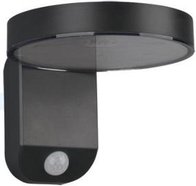 Sieninis lauko šviestuvas Reality Rosario R22251142, 4.5W, LED, IP44, antracito, 15 cm x 12 cm