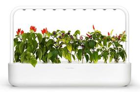 Gudrais mājas dārzs Click & Grow SG-9, balta krās.