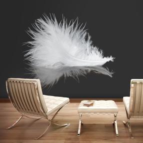 Fototapetas Artgeist White Feather, 270 cm x 343 cm