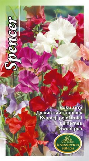 Sēklas Kurzemes sēklas viengadīgās Spencer Mix, 5 g