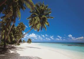 Fototapetas Komar Maldives 8-240, 368 cm x 254 cm