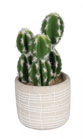 Dirbtinis augalas vazone, kaktusas Splendid Cactus, šviesiai ruda sp./žalia sp., 14 cm