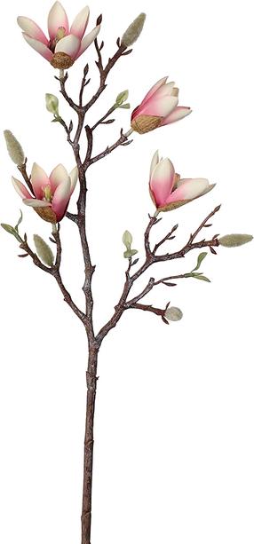 Dirbtinė gėlė, magnolija Splendid Magnolia, ruda sp./rožinė sp., 59 cm