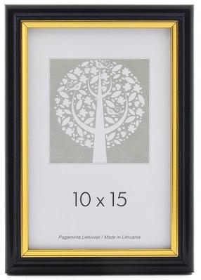 Nuotraukų rėmelis ECO 1303916, 30 cm x 40 cm, aukso sp./juoda sp.