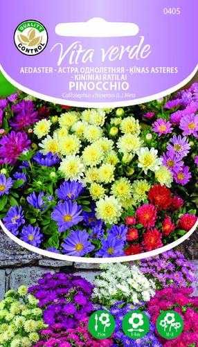 Seemned Vita Verde hiina aedaster Pinocchio Callistephus Chinensis L. Ness